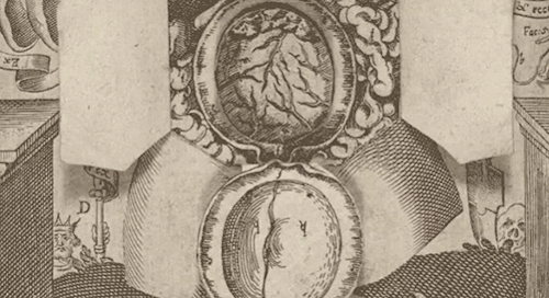 nevver:Anatomically correct, Flipbook from 1661