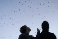 euo:  &ldquo;My head is made of the same material as the sun.” Upstream Color (2013) dir. Shane Carruth 