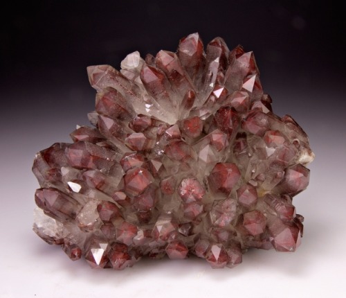 Quartz with Hematite inclusions from China by Dan Weinrich