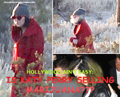 K P News #4: Katy Perry Sells Drug To Collect Money Not everything seems to be perfect in Katy Perry