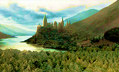 maraudder:  Harry Potter meme | four locations [&frac14;] hogwarts 