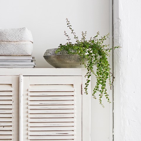 via  indiehomecollective                                                                                   INDIE HOME COLLECTIVE                                                         