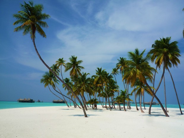 luxurytravelexpert:  #DailyInspiration: Gili Lankanfushi @GiliLankanfushi is one