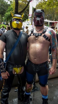 Pup Boss &Amp;Amp; Gpup Alpha At Sydney Mardi Gras 2014 In Their Leather Pup Gear.