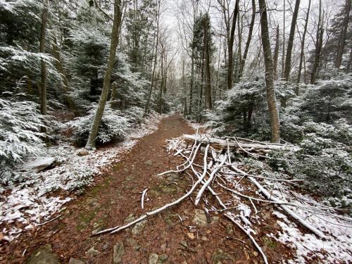 oneshotolive:  Snowy appalachian trail, Pennsylvania [OC] 3326x2419 📷: Lj450ktm 