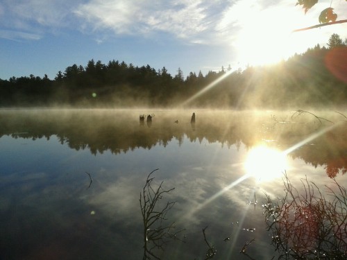 Morning Sun