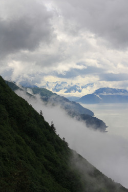 peaceful-moon:  touchdisky:  Mists of Juneau 