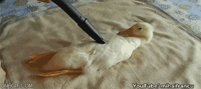 gif-guy:  http://gif-guy.tumblr.com/