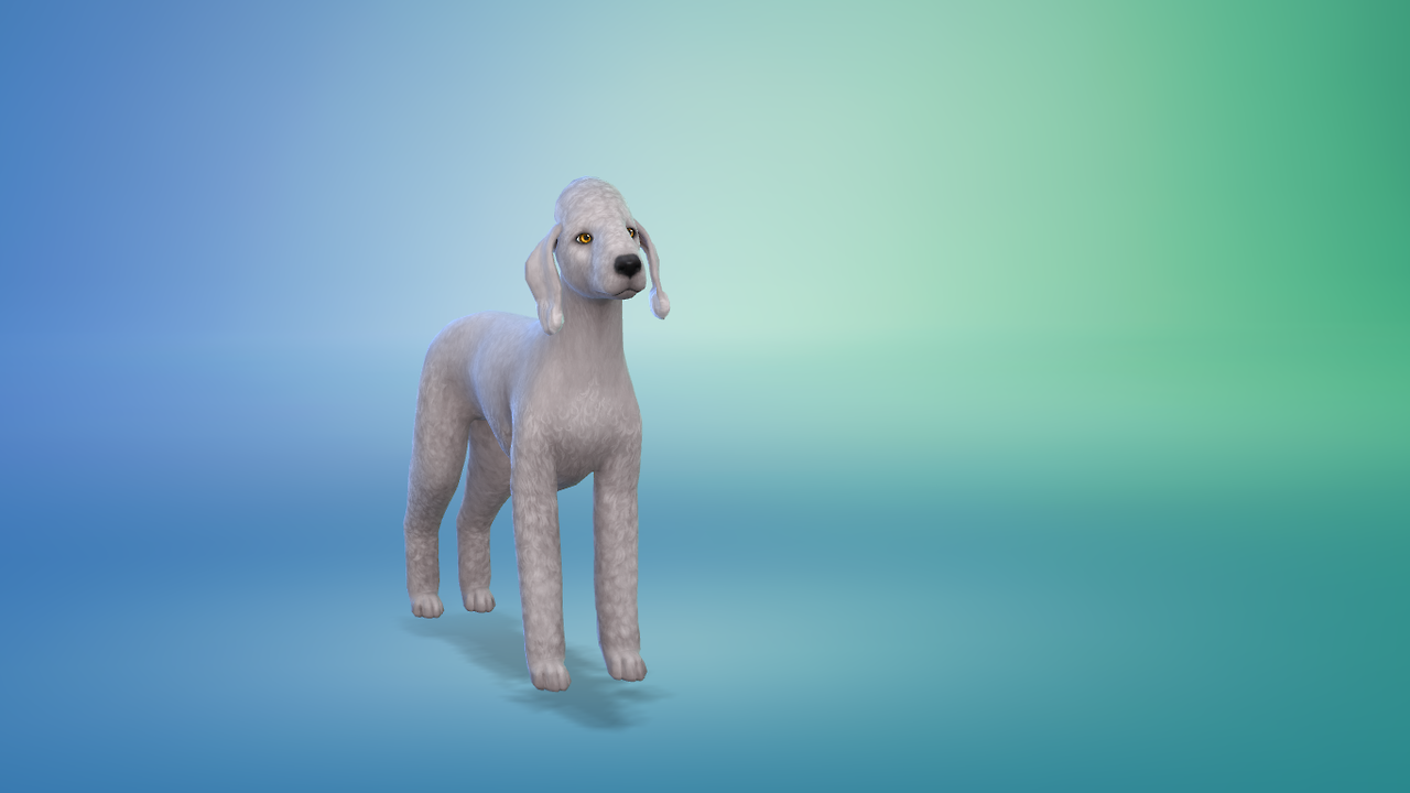 Sims 4 Dog Retexture