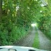 thingssthatmakemewet:Such a beautiful day for a beautiful wedding with my favorite