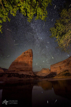 naturalsceneries:  Meteors and Stars over Steamboat Rock in Dinosaur National Monument, Colorado Source: Mike Berenson - Colorado Captures (flickr)