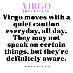zodiaccity:  Zodiac Virgo facts.  Me