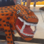 callistolm