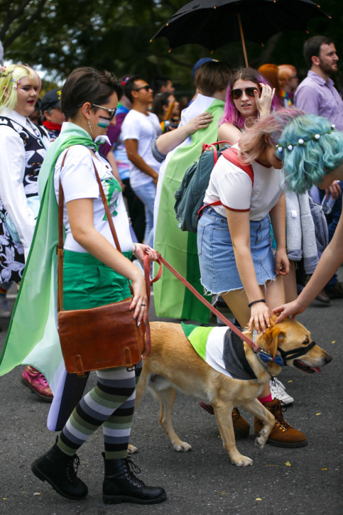 Took a few photos at Brisbane pride parade