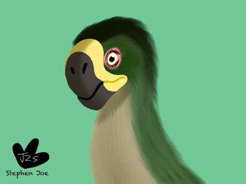 Happy Saint Patrick’s Day with oviraptorid Heyuannia huangi. Yeah, there’s no evidence of any non-av