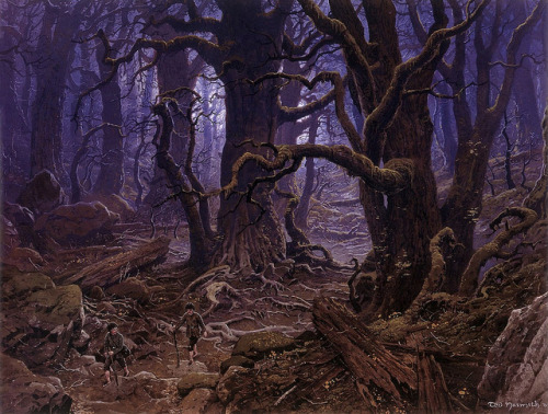 TED NASMITHFangorn Forest