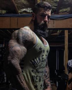 roidedbear:  sebastianshaw23: Delts.