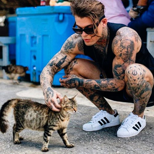 mymodernmet:  “Hot Dudes with Kittens” Is an Internet Dream Come True