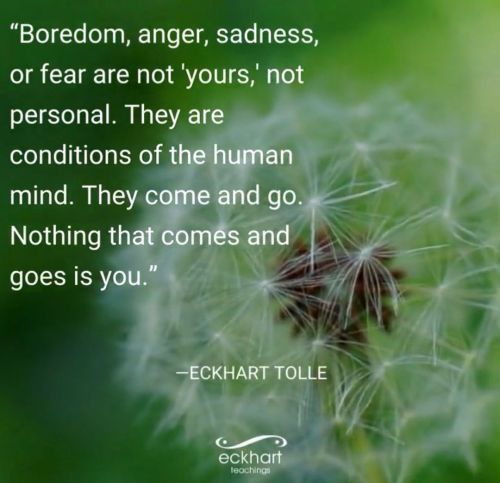 &ldquo;Boredom, anger, sadness, or fear are not &lsquo;yours,&rsquo; not personal. They 