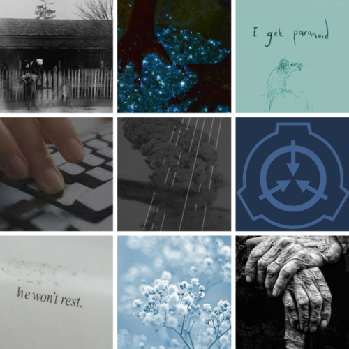 SCP Aesthetics — SCP Aesthetics: 1733 (requested by