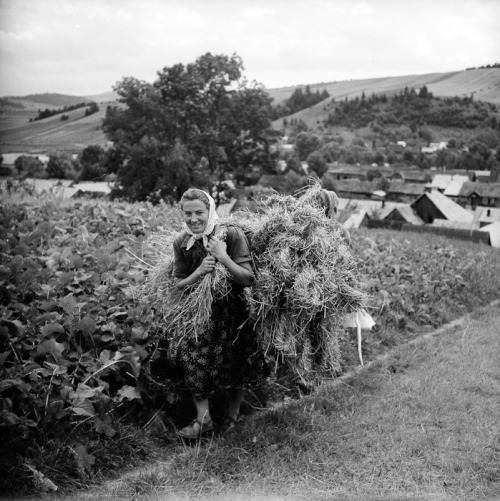 lamus-dworski: Eustachy Kossakowski: Pieniny (region in southern Poland), 1960.Source: artmuseum.pl