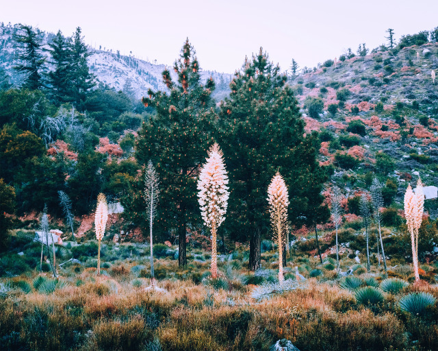 crystal lake, angeles national forest