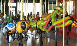 deepbluefeeling: staceythinx:  The Bug Carousel at the Bronx Zoo has all your favorite insects: a long-legged praying mantis, a bright green grasshopper, ladybugs, caterpillars, and even a dung beetle. (Photos by Jean Bennett)   @nucle0tide 