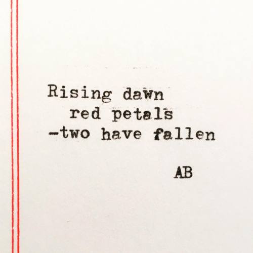 Haiku 25 // ft. Rising dawn