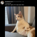 jakemorph:
