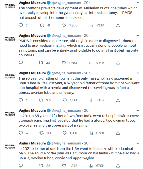 Https://twitter.com/vagina_museum/status/1628046312275935232