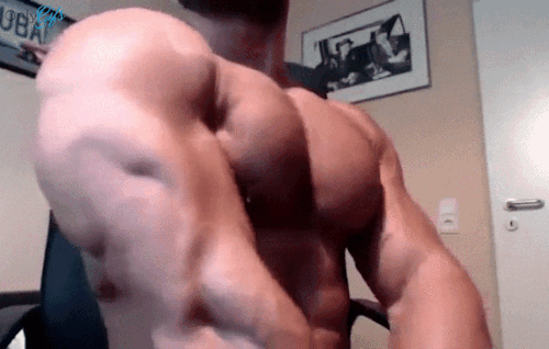 onlygifs-nt - OnlyGifs