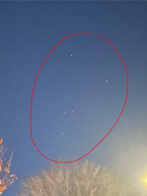 Isndisains Im So Happy Tonight There Are A Bunch Of Stars That I Can See And I Can See Orion