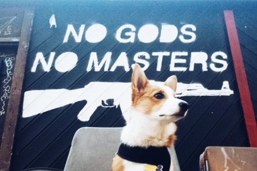 A blog dedicated to firearms and debating gun control
