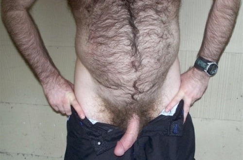 manlybush: Awesome manly bush, hairy guys and furry balls. Give me those pubes