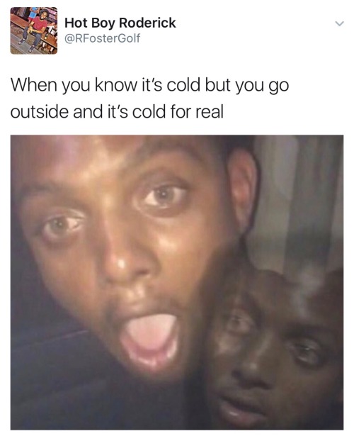 the-parental-advice: twitterlols: me for the next 3 months Me freezing in 76 degree weather