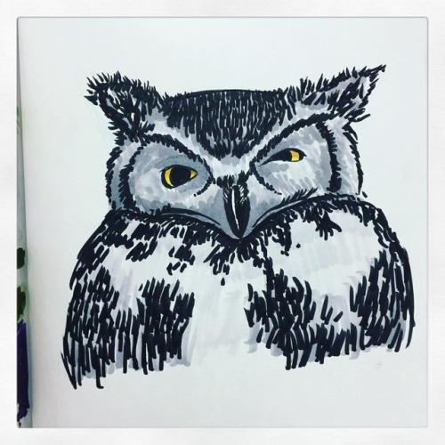 10/21/17 - Inktober “furious” and Drawlloween “grumpy owl.” #art #art #artwo