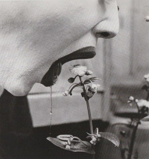 yourkinkyobsession:Deep throat it, photograph by Eikoh Hosoe.