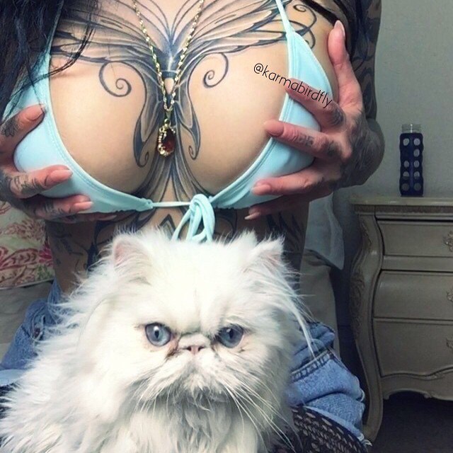 thatattoozone:    Karmabirdfly    DIRTY KITTY Lol