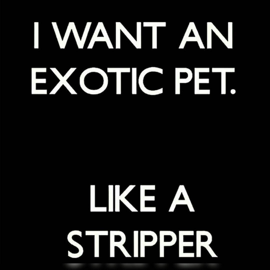 👌💦👠💰💵💲💯🔞💸#strippers #stripclubs #stripperlove #iminlovewithastripper