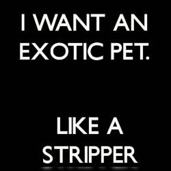 👌💦👠💰💵💲💯🔞💸#Strippers #Stripclubs #Stripperlove #Iminlovewithastripper