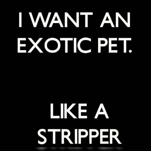 XXX 👌💦👠💰💵💲💯🔞💸#strippers photo