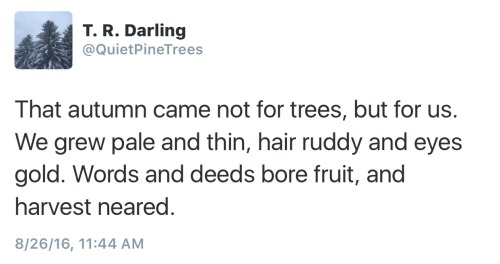 quietpinetrees:“That autumn came not for trees, but for us. We grew pale and thin, hair ruddy and ey