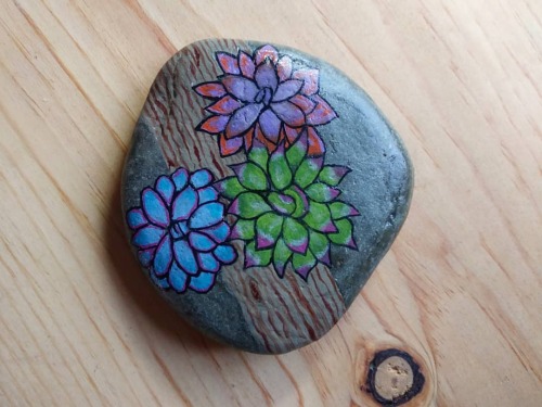 Today’s project. Painting succulents on rocks. They’re just so colorful. #succulents #su