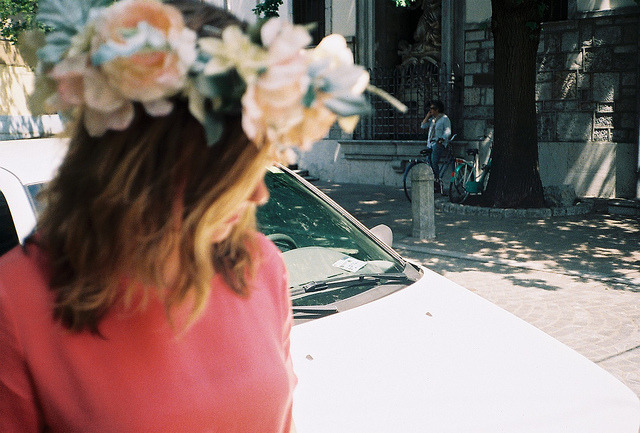 tulipsy:  indie ☆ 