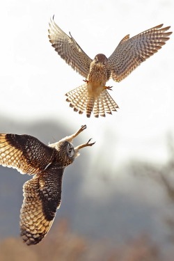 tect0nic:  FIGHT by Steven Ward via 500px.