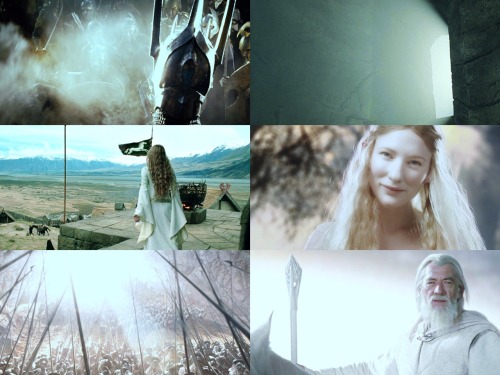 bcfurs:lotr meme - four colours (¾) - white  “It’s a dangerous business, going ou
