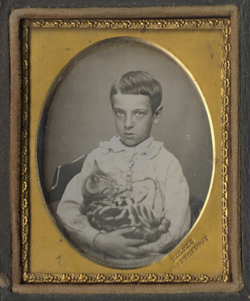 tuesday-johnson:ca. 1850s, [daguerreotype portrait of a boy and his sleeping tabby kitten], Holmesvi