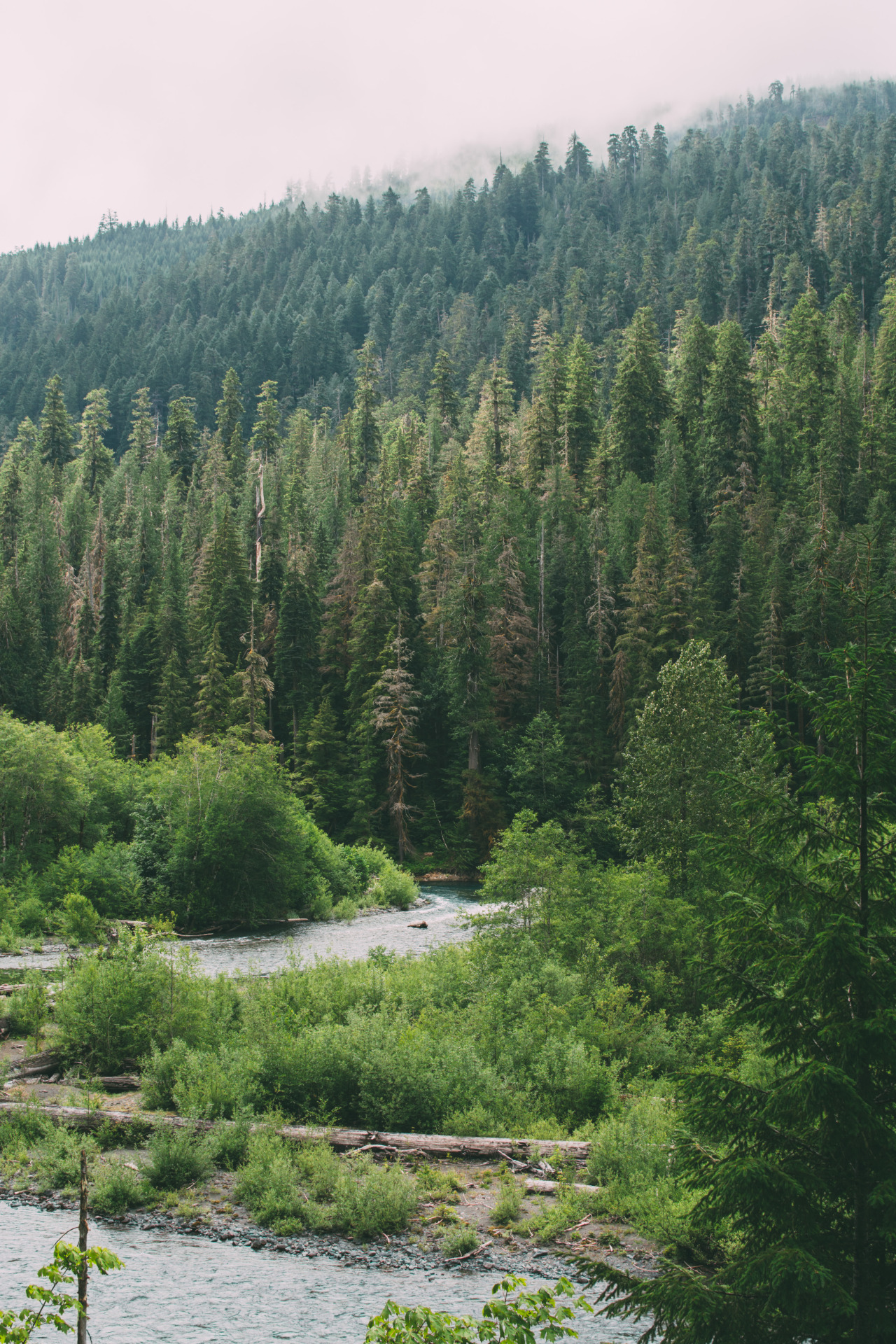 millivedder:  Skokomish River
