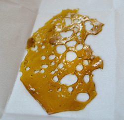 higher-archy:  Chem Dawg shatter. The flavor and terpene profile are on point.