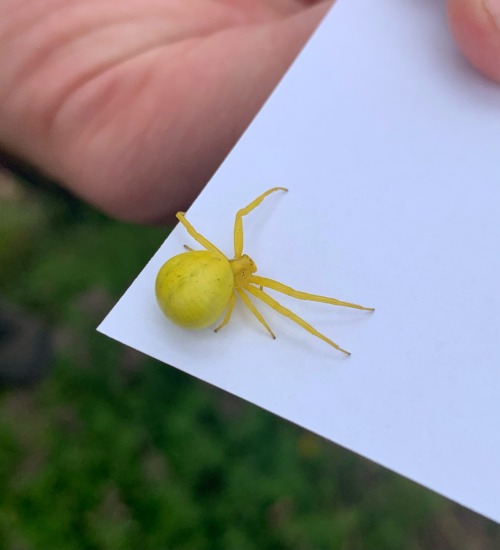 Day 34 Of Posting Cute Creatures We Found On Our Field Trip: